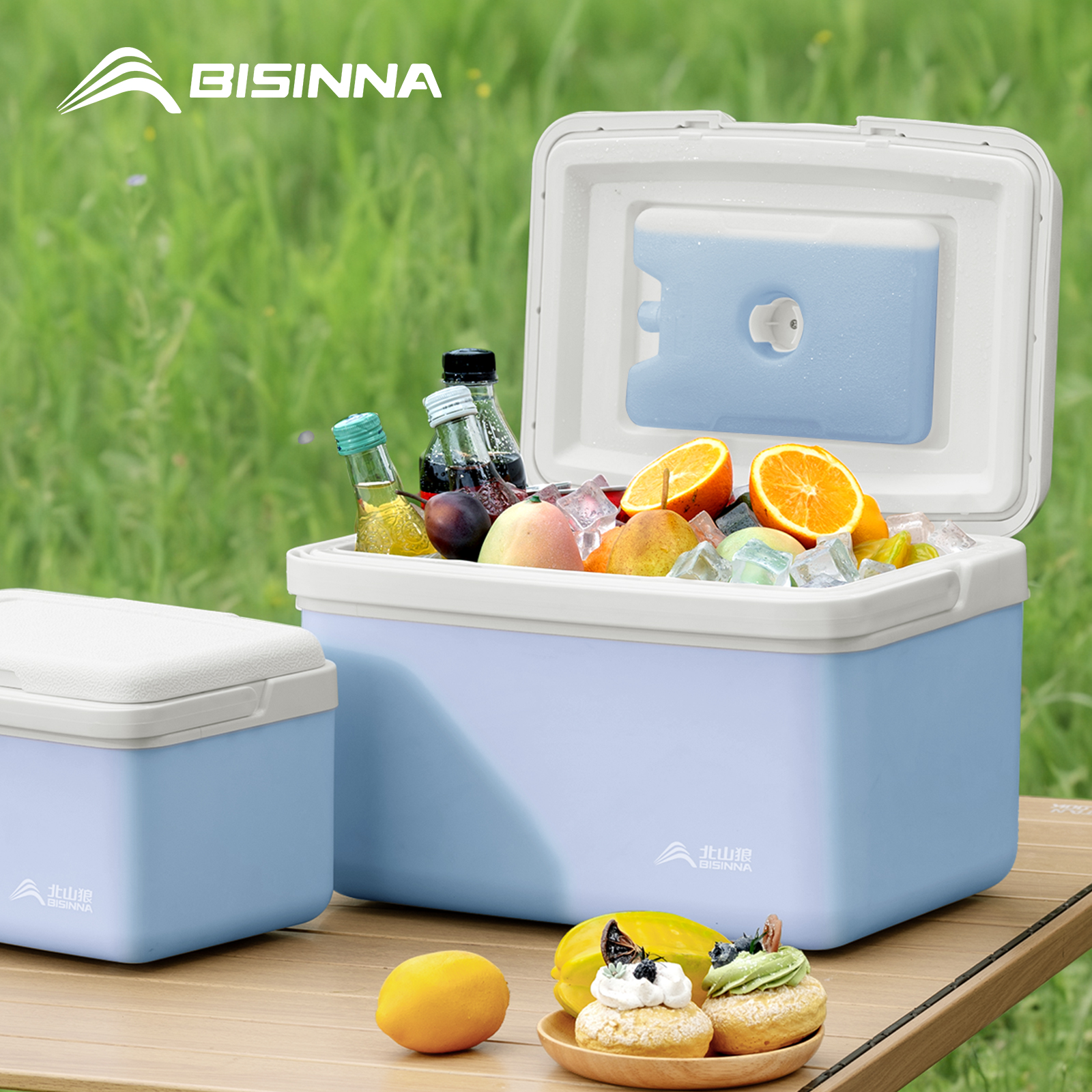 BISINNA Camping Ice Box 6L/9L/ - Outdoor Camping Vehicle ulasan dan harga