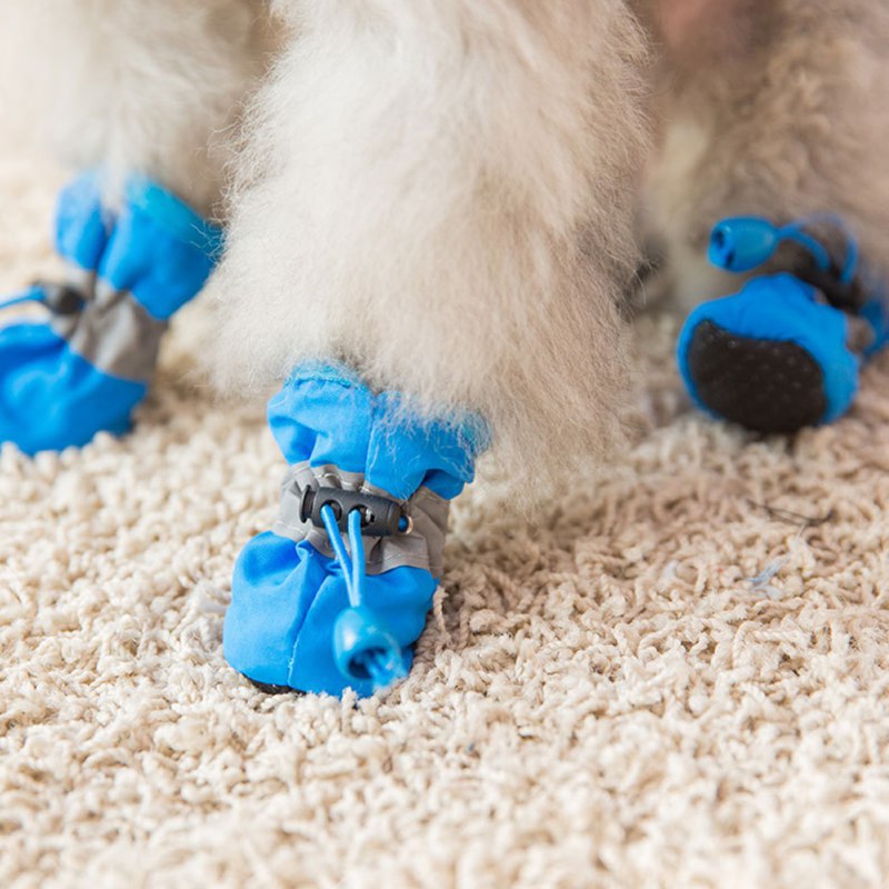 4PCS Small Dog Shoes Hiking Bo - Outdoor Camping Slippers ulasan dan harga
